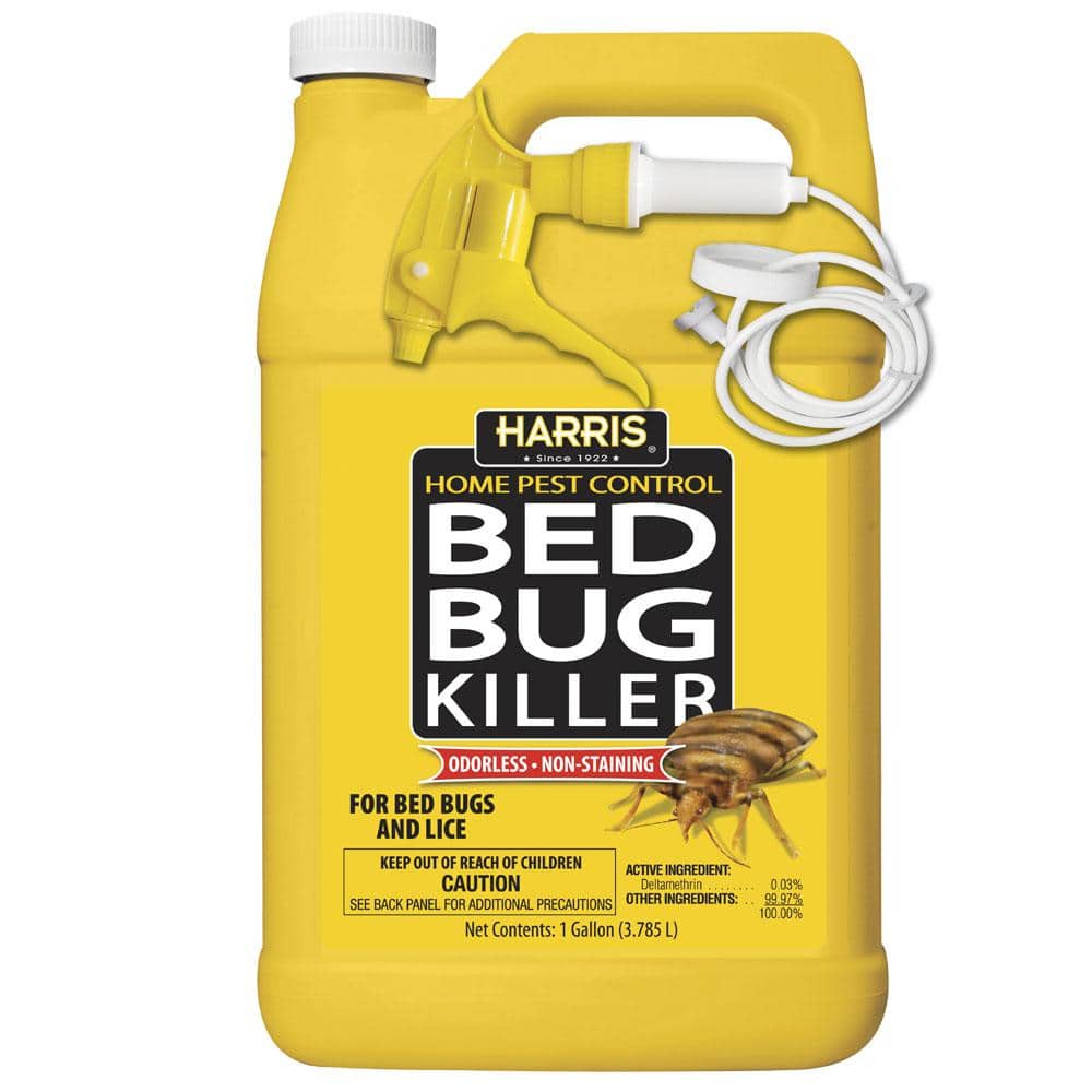 The Importance of Educating Yourself About Bed Bug Pest Control