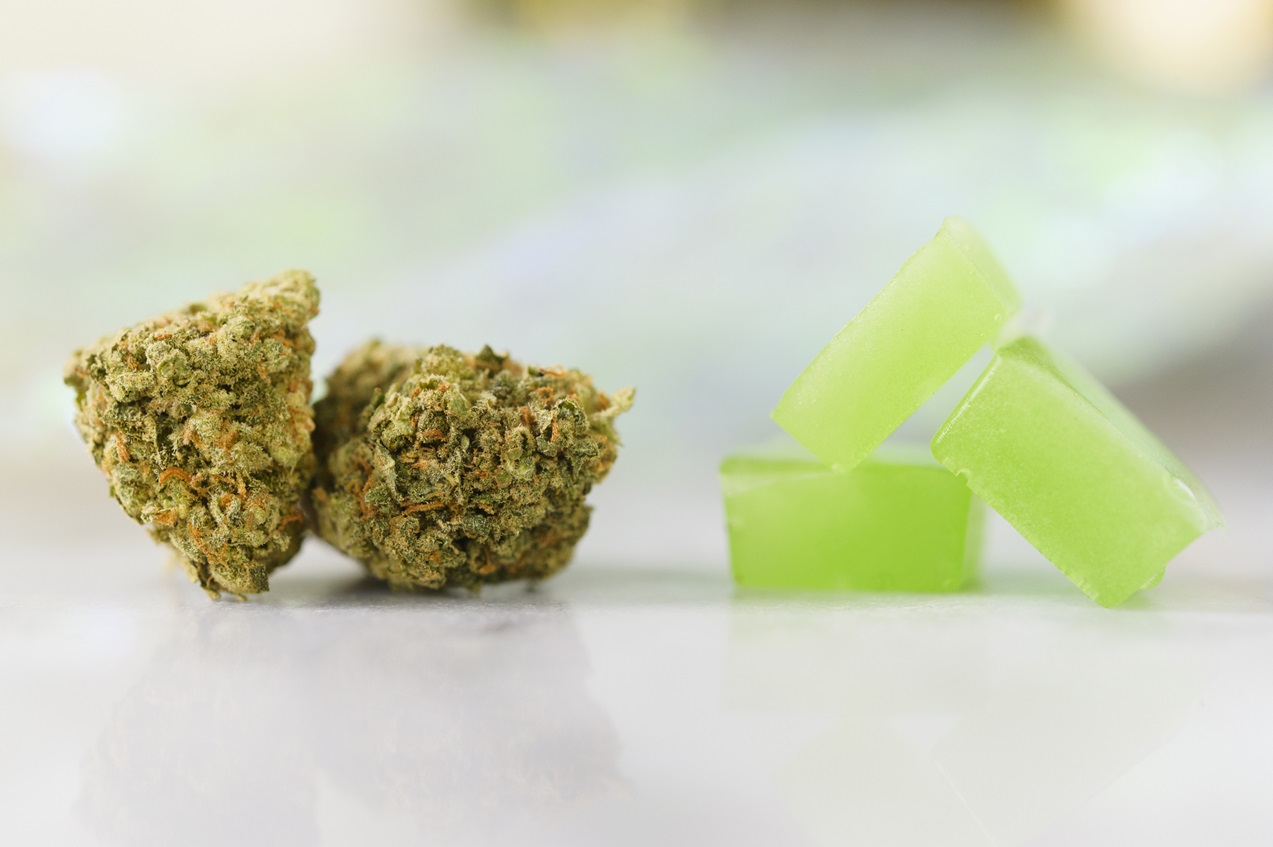 From First-Time Users to Aficionados Why Delta 9 Gummies Are a Game Changer