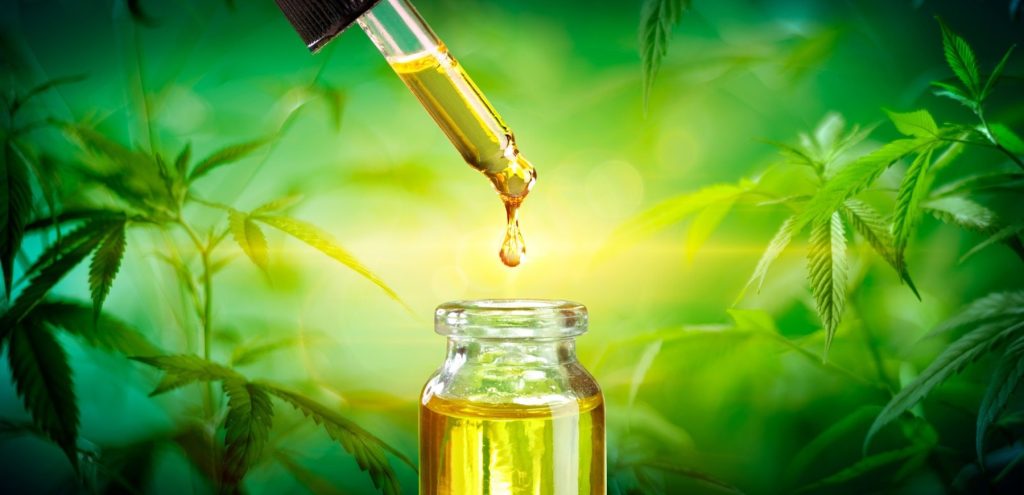 Creative Uses for CBD Oil Beyond the Bottle and Into Your Life