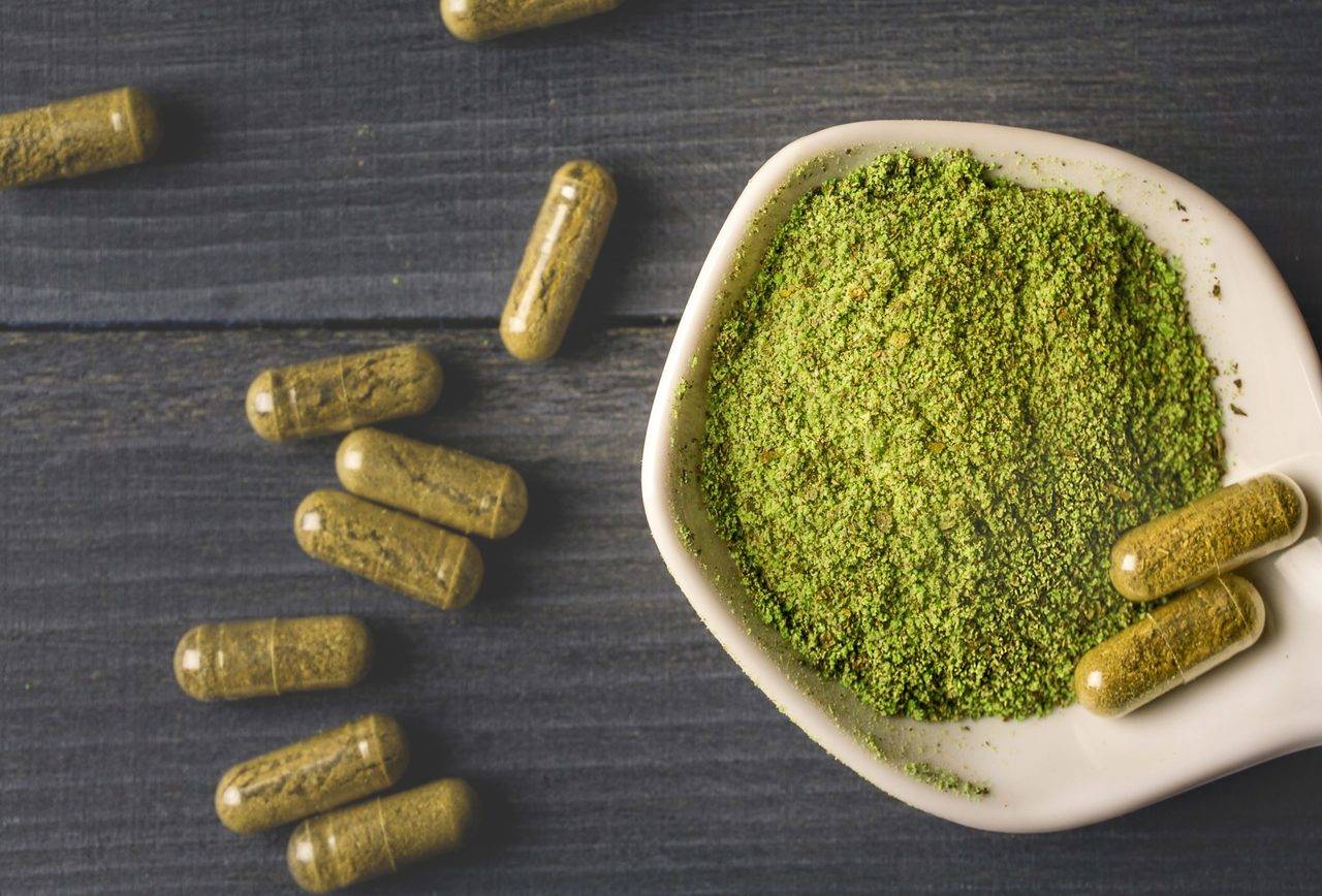 Popular Kratom Strains and Their Unique Effects on the Body